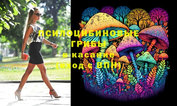 дмт Балахна
